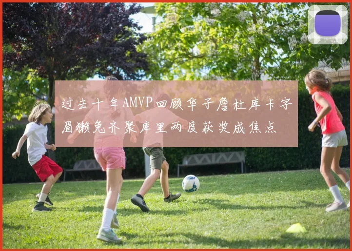 过去十年AMVP回顾华子詹杜库卡字眉獭兔齐聚库里两度获奖成焦点